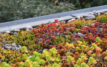 the cost of Reawla green roof installation
