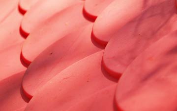 Reawla plastic roof costs